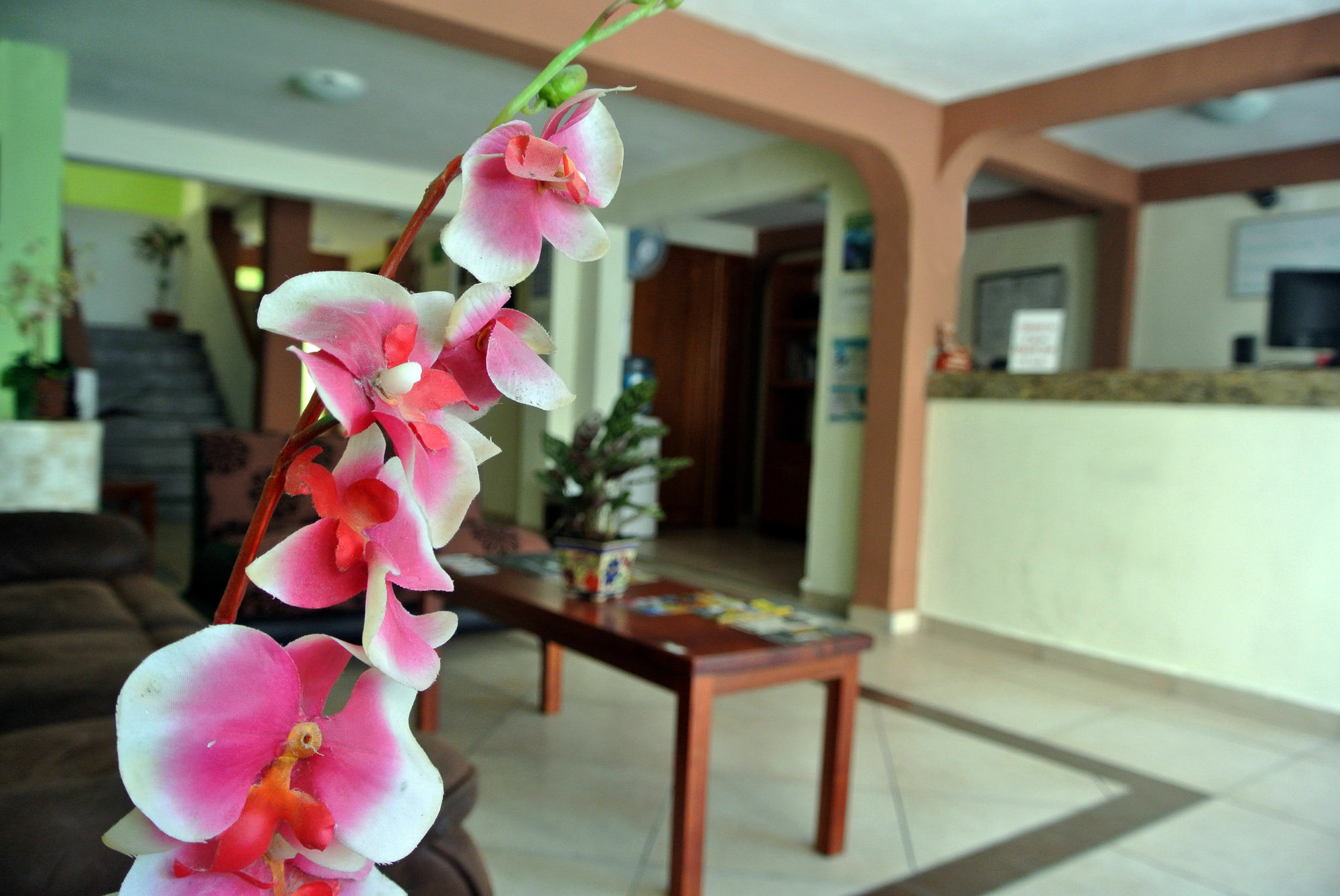 De Mar Hotel ปลายาเดลการ์เมน ภายนอก รูปภาพ